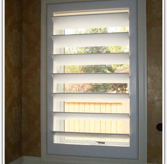 blinds vs. shutters
